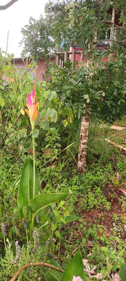 Casa de férias Casa Confortavel, Pertinho Da E Conectada A Natureza Brasília