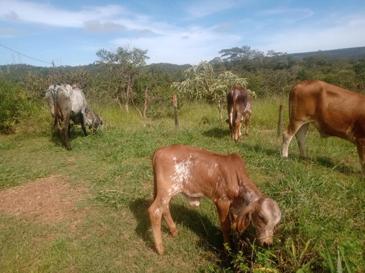 Casa Confortavel, Pertinho Da E Conectada A Natureza *